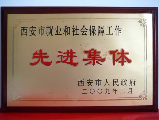 2009年2月，，，，，，，被西安市政府评为西安市就业和社会包管事情先进整体