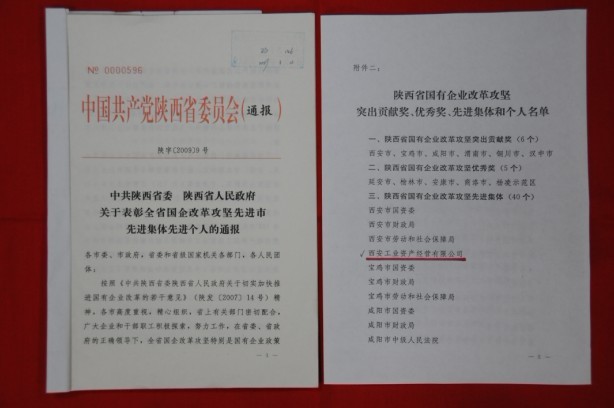 2009年2月，，，，，，，被陕西省委、省政府授予陕西省国有企业刷新攻坚先进整体